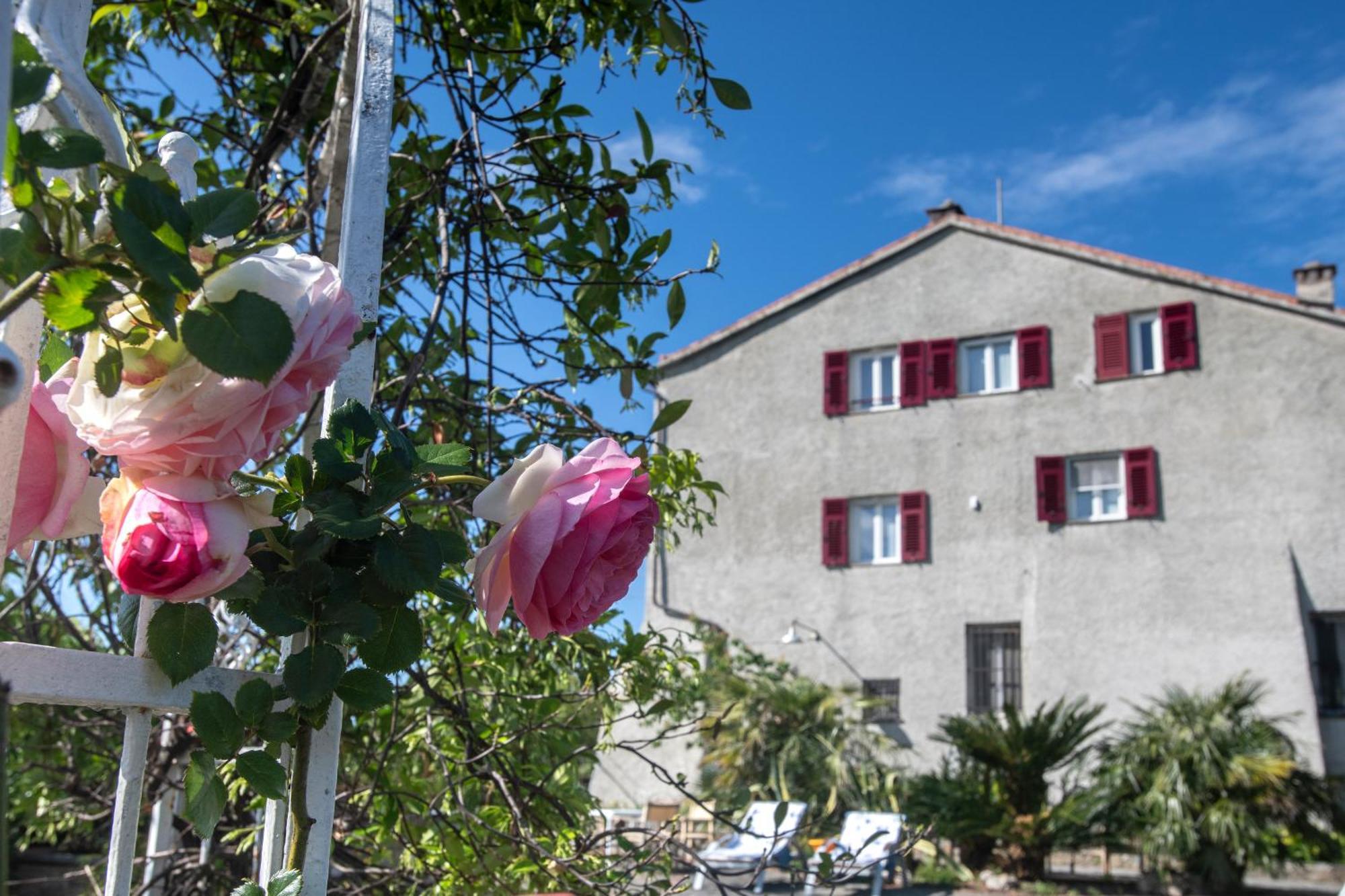 277 - Il Frantoio Della Marchesa - Giardino E Piscina Nel Verde Di セストリ・レヴァンテ エクステリア 写真